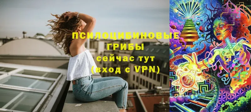 Псилоцибиновые грибы MAGIC MUSHROOMS  что такое   Россошь 